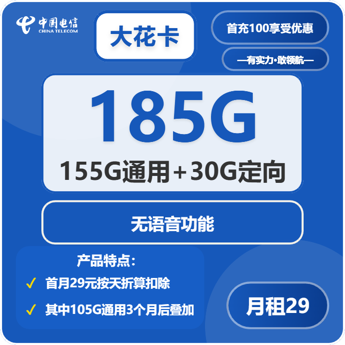 电信大花卡29元月租包155G通用+30G定向+无语音功能