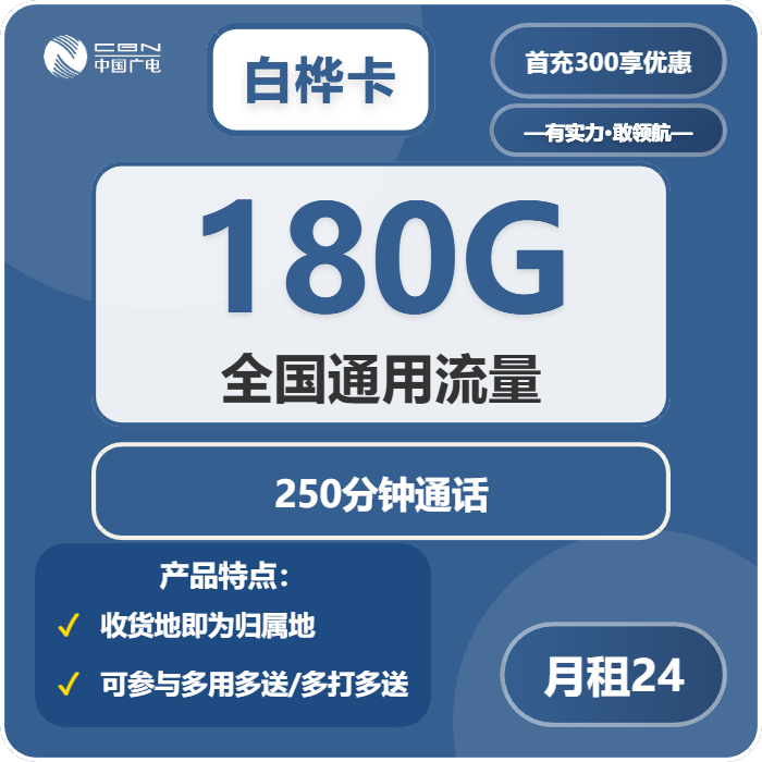 广电白桦卡24元月租包180G通用+250分钟通话