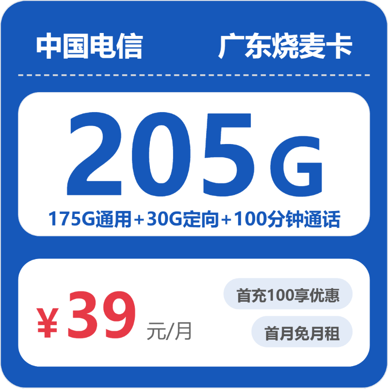 电信烧麦卡39元月租包175G通用+30G定向+100分钟通话