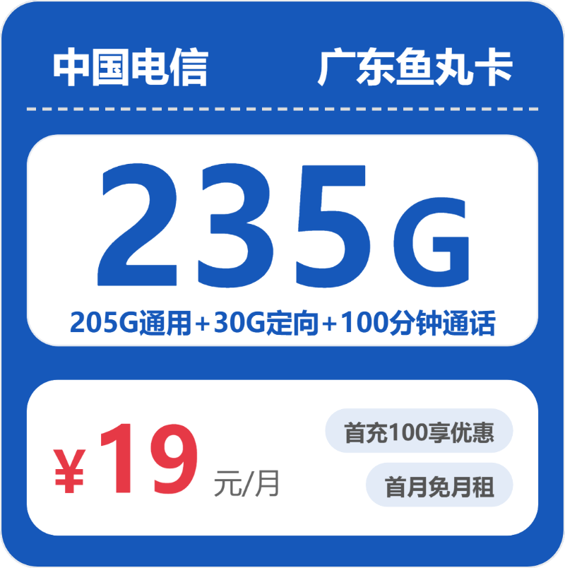 电信鱼丸卡19元月租包205G通用+30G定向+100分钟通话