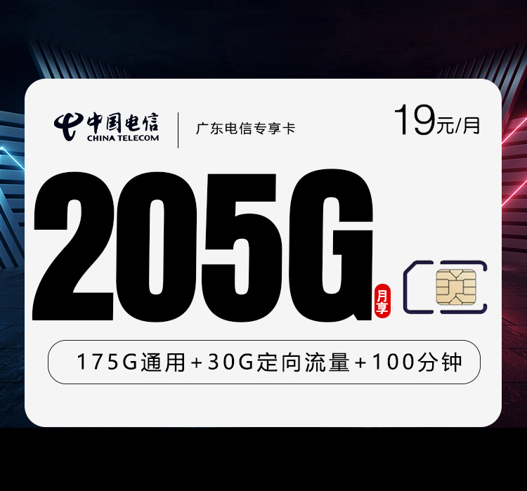 广东电信专享卡新 首年19元205G+100分钟